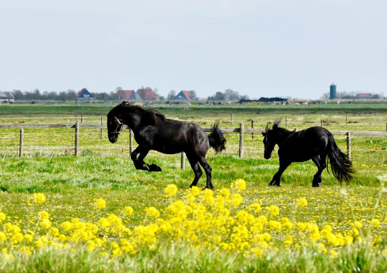 Het Melkhuis Op Prachtig Landgoed Koepeltjesplaats Gaast المظهر الخارجي الصورة